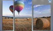 Воздушные шары над полем