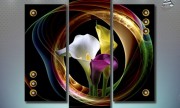 Скачать модульную картину с цветами Calla, flowers, close-up